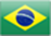 Português (Brasil)